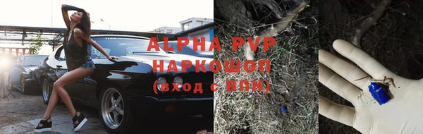 apvp Ростов