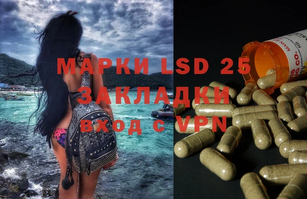 мяу мяу мука Болхов