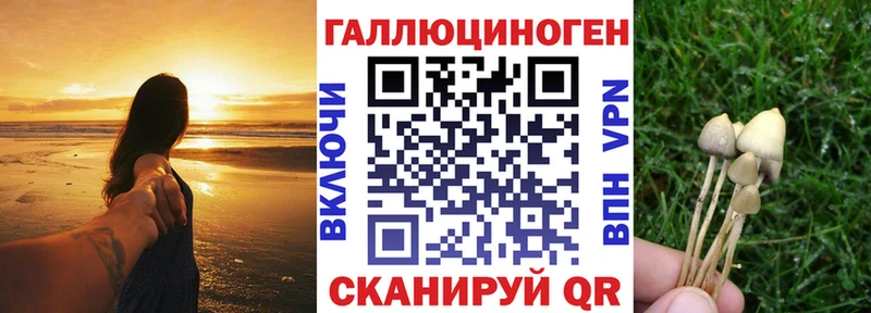 Псилоцибиновые грибы GOLDEN TEACHER  это какой сайт  Любань  гидра как войти 